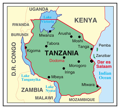 Millicom ramps up African mobile money rush in Tanzania - FinTech Futures