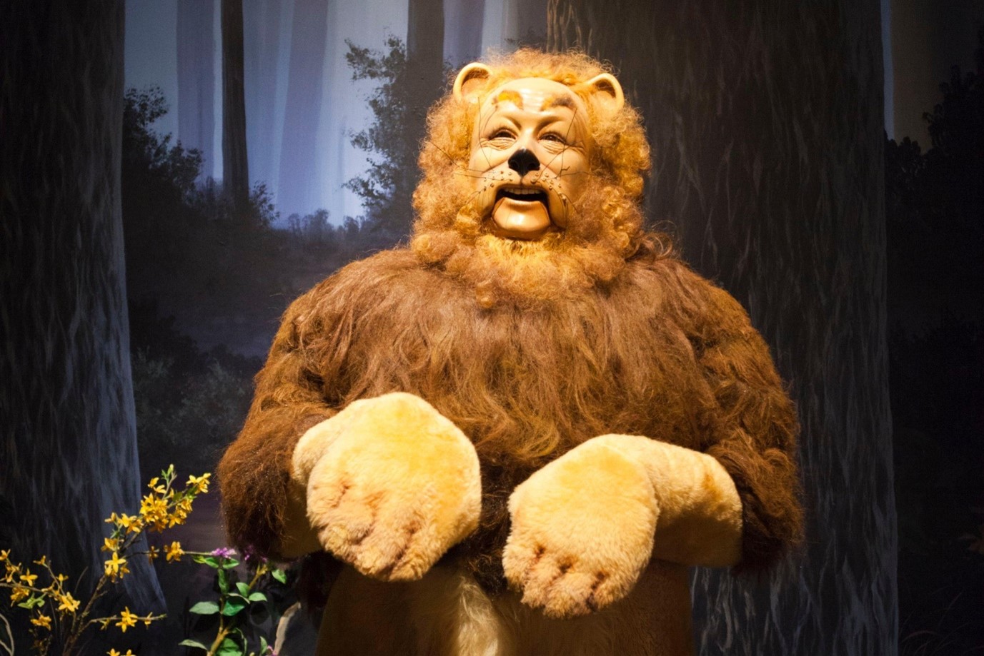 the wizard of oz lion