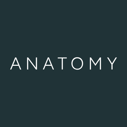 Anatomy Financial - FinTech News